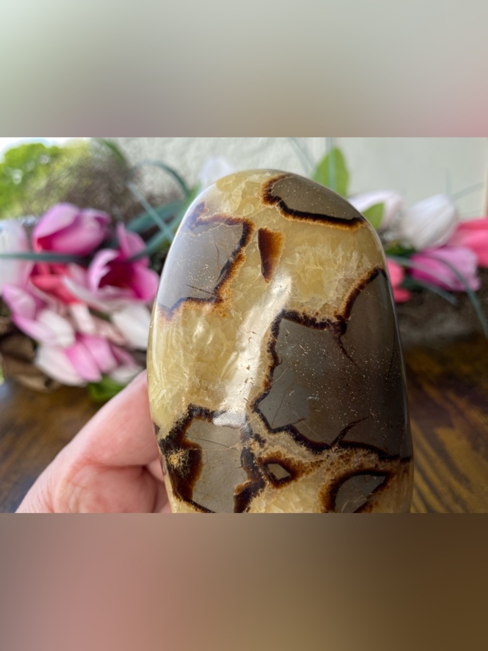 Septarian Freeform - Picture 8 of 12